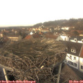 13_10-nest.jpg