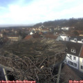 13_15-nest.jpg