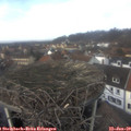 13_20-nest.jpg