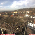 13_25-nest.jpg