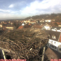 13_30-nest.jpg