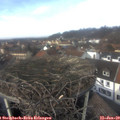 13_35-nest.jpg