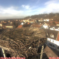 13_50-nest.jpg