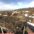 13_55-nest.jpg