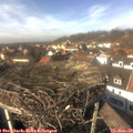 14_00-nest.jpg