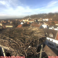 14_05-nest.jpg