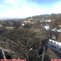 14_10-nest.jpg