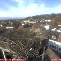 14_15-nest.jpg