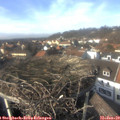 14_20-nest.jpg