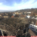 14_25-nest.jpg