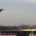14_30-mast.jpg