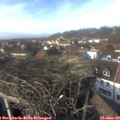 14_30-nest.jpg