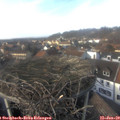14_35-nest.jpg