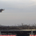 14_40-mast.jpg
