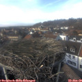 14_40-nest.jpg