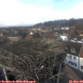 14_45-nest.jpg