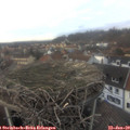 16_05-nest.jpg
