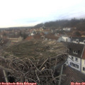 16_10-nest.jpg