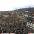16_15-nest.jpg
