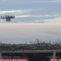 16_35-mast.jpg
