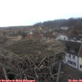 16_40-nest.jpg