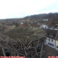 16_50-nest.jpg
