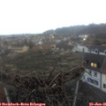 08_10-nest.jpg