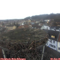 08_15-nest.jpg