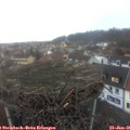 08_20-nest.jpg