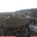 08_30-nest.jpg