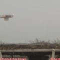 08_35-mast.jpg