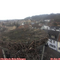 08_35-nest.jpg