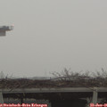 08_40-mast.jpg