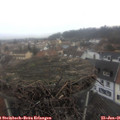 08_50-nest.jpg