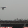 08_55-mast.jpg