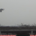 09_00-mast.jpg