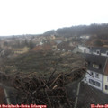 09_05-nest.jpg