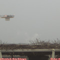 09_15-mast.jpg