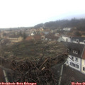 09_15-nest.jpg