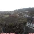 09_20-nest.jpg
