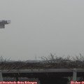 09_25-mast.jpg