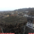 09_25-nest.jpg