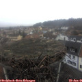 09_35-nest.jpg
