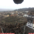 09_50-nest.jpg