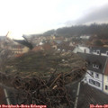 10_10-nest.jpg