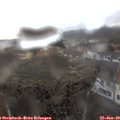 10_25-nest.jpg