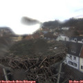 11_05-nest.jpg