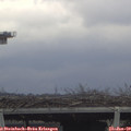 11_15-mast.jpg