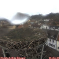 11_20-nest.jpg