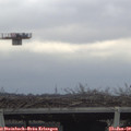 11_25-mast.jpg